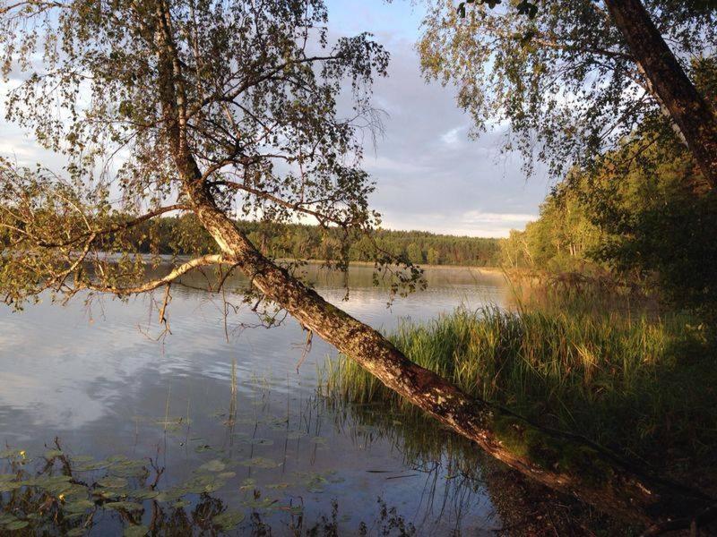 Asvejos Slenis Pension Suzionys Buitenkant foto